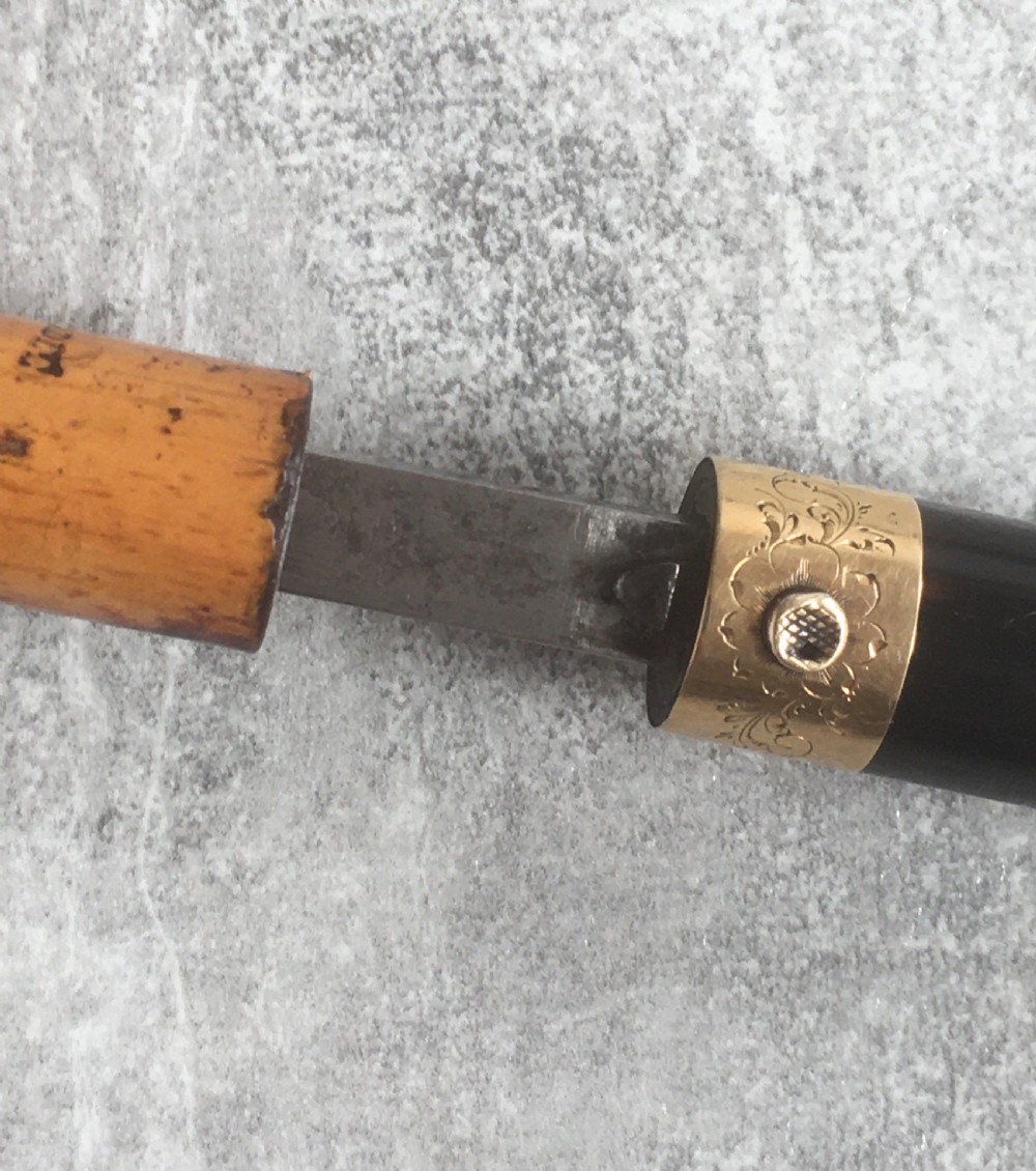 French Faux Tortoiseshell & Malacca Sword Stick View VII