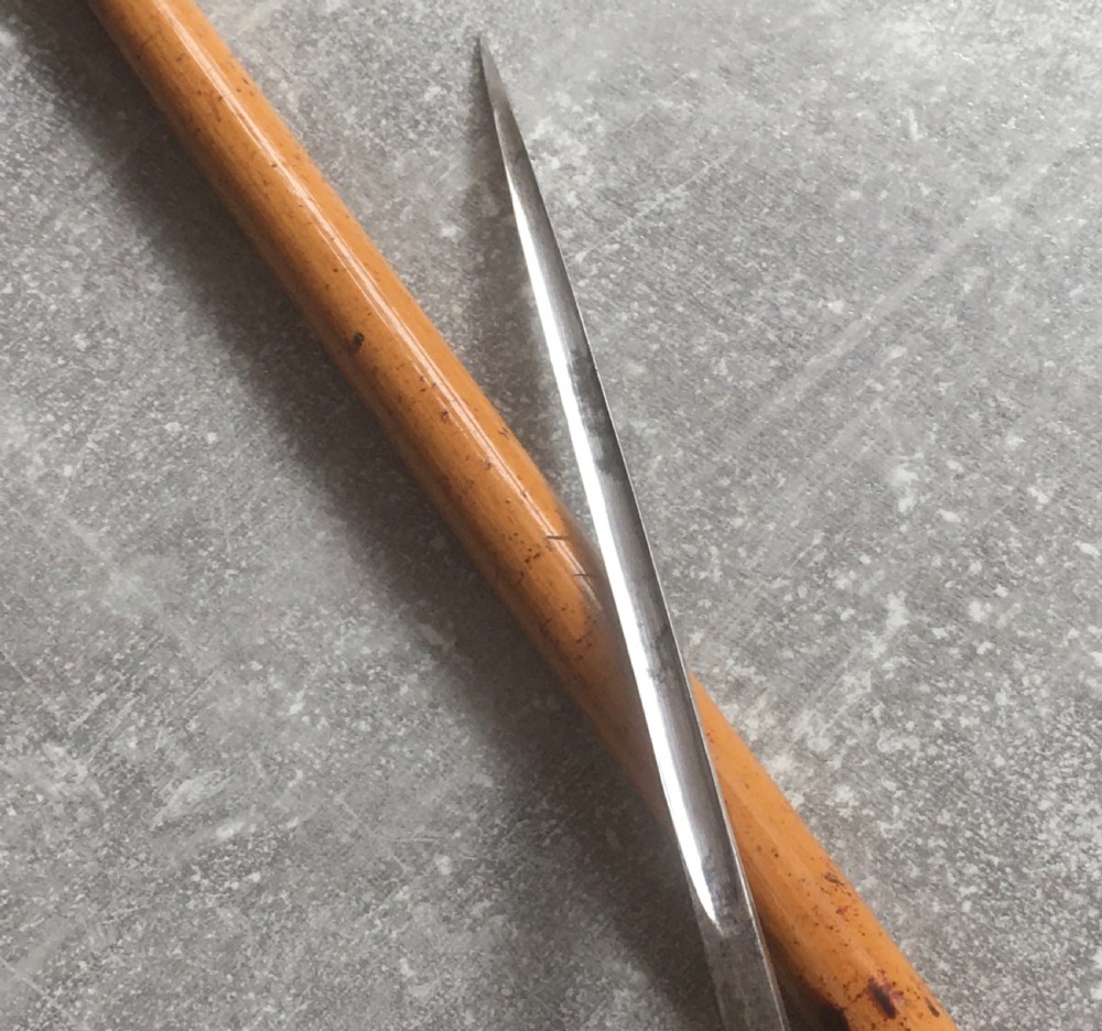 French Faux Tortoiseshell & Malacca Sword Stick View VIII