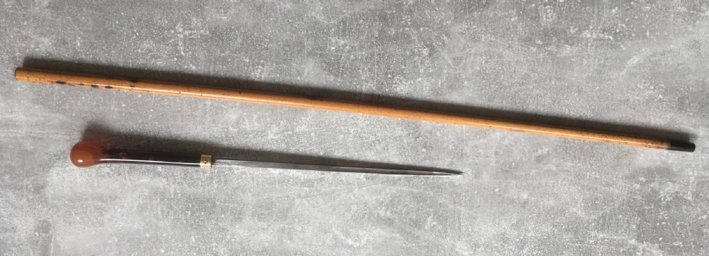 French Faux Tortoiseshell & Malacca Sword Stick View IX