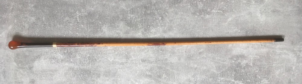 French Faux Tortoiseshell & Malacca Sword Stick View X