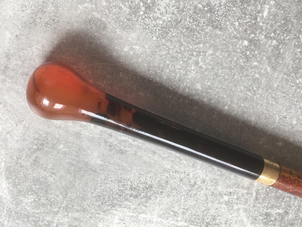 French Faux Tortoiseshell & Malacca Sword Stick View XI