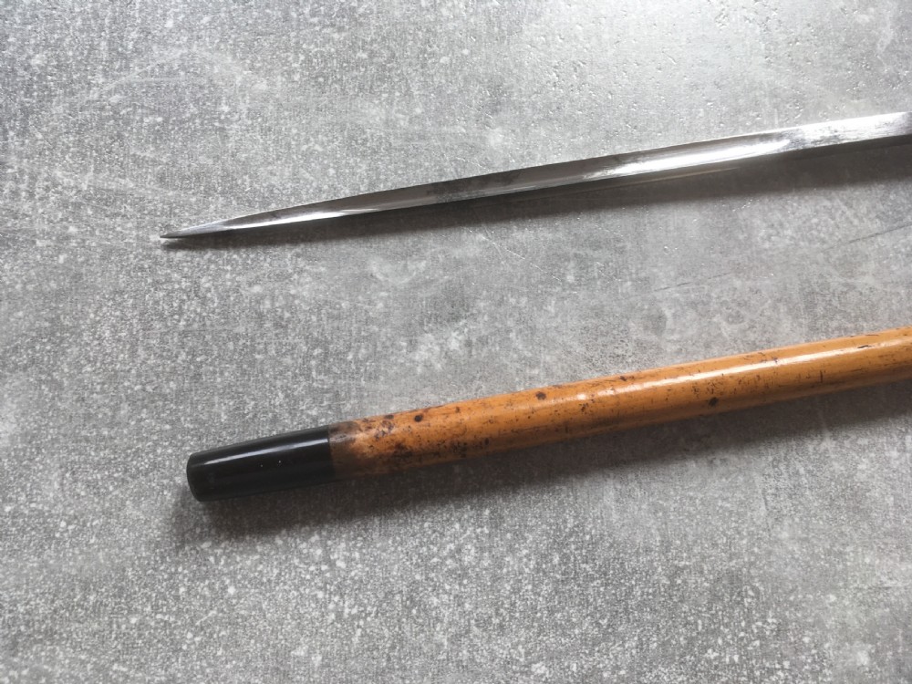 French Faux Tortoiseshell & Malacca Sword Stick View XII
