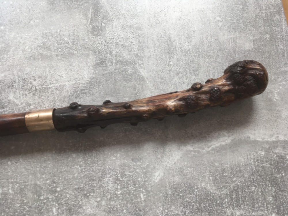 Large Late 19th Century Briar Wood Handled Sword Stick View IX