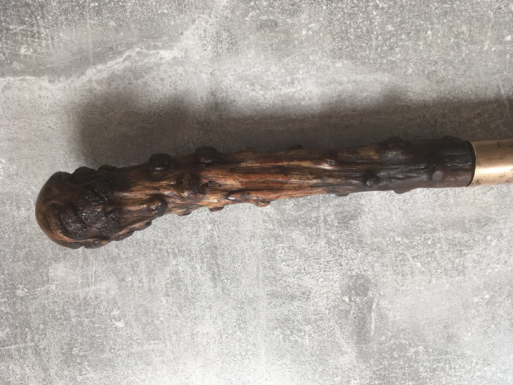 Large Late 19th Century Briar Wood Handled Sword Stick View X