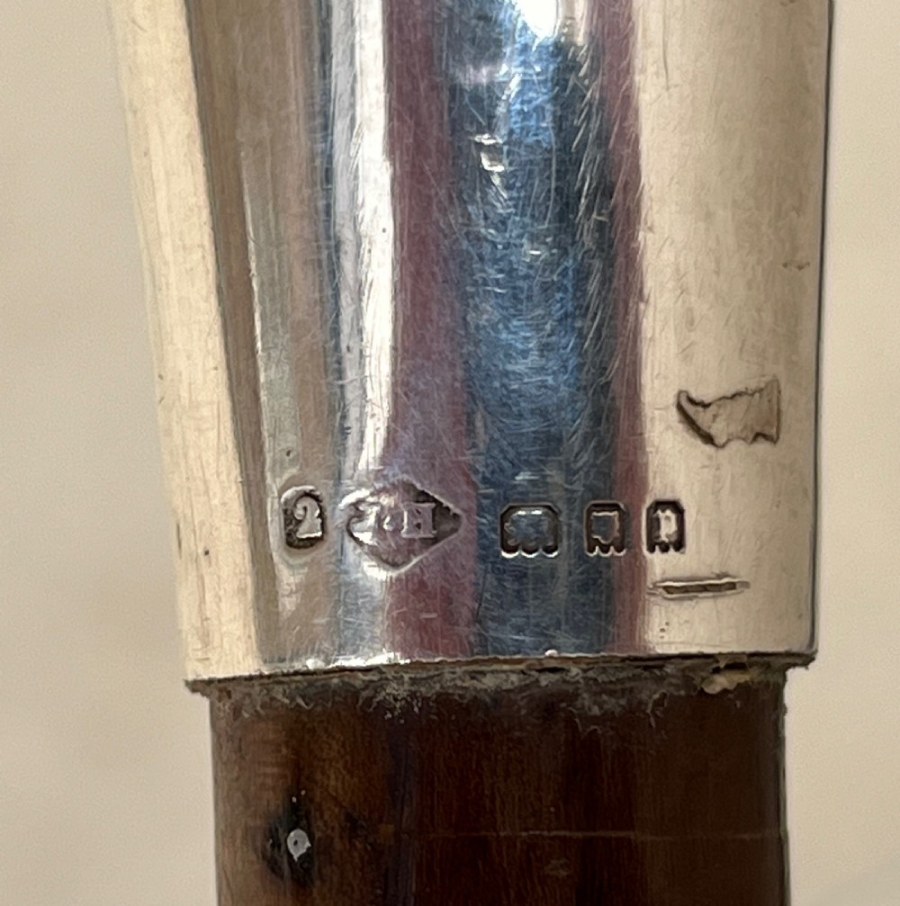 Silver Handled Sword Stick with a Toledo blade View III