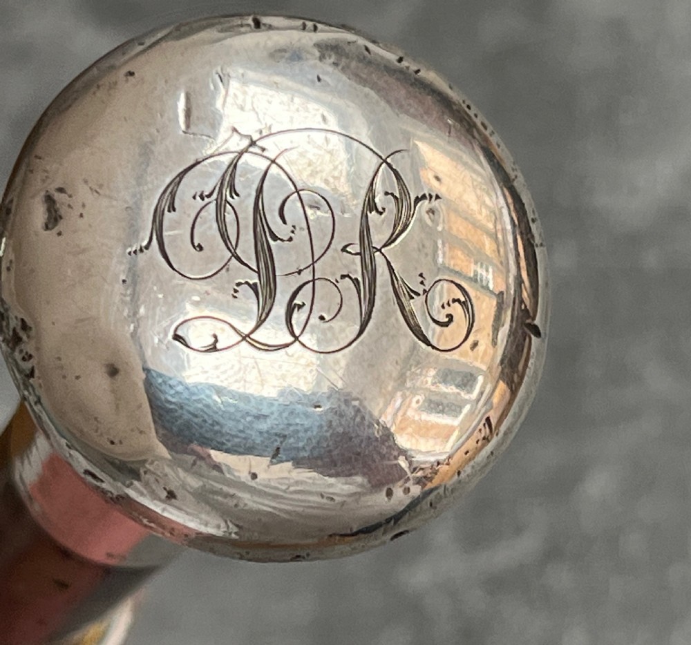 Silver Handled Sword Stick with a Toledo blade View IV