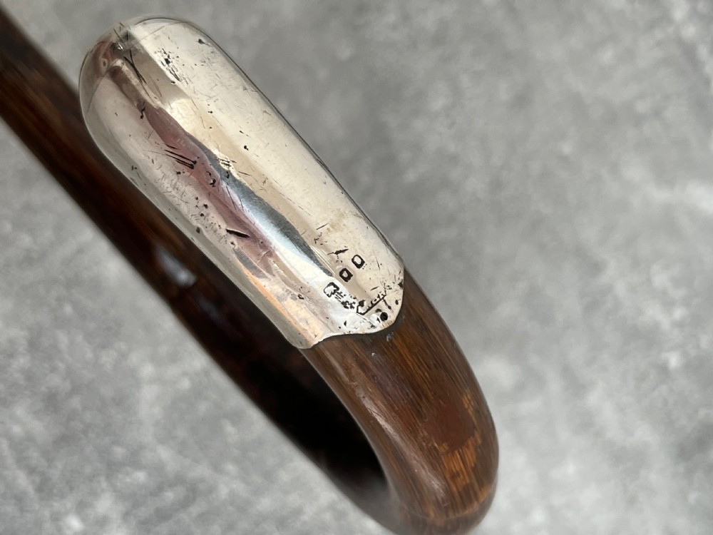 A dark brown malacca cane walking stick featuring a curved crook handle, a silver end cap, a silver collar, and a brass ferrule at the tip. View VIII