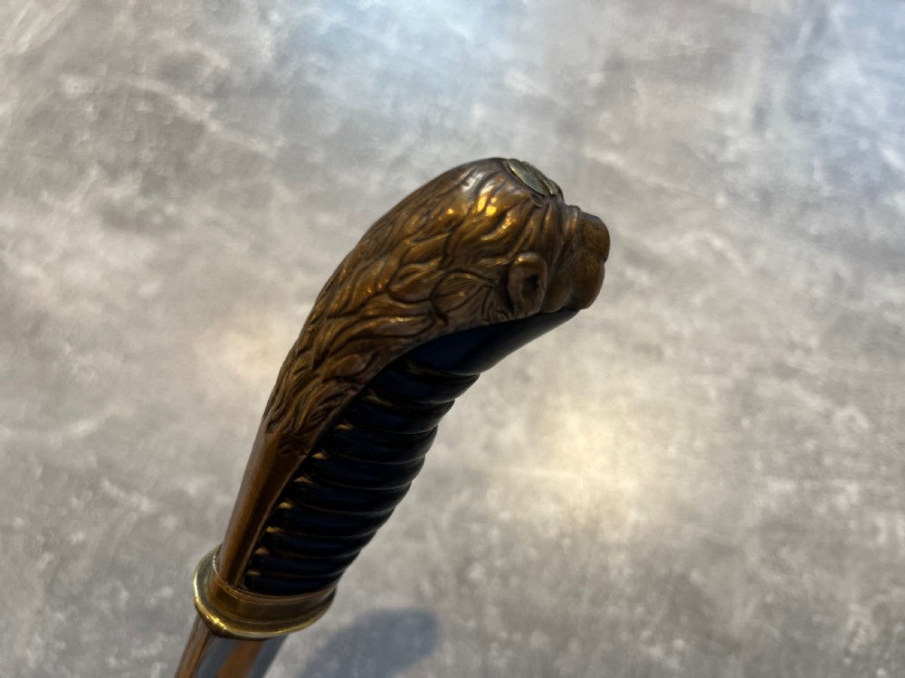 Oval Malacca Sword Cane with Brass Lions Head Handle View V