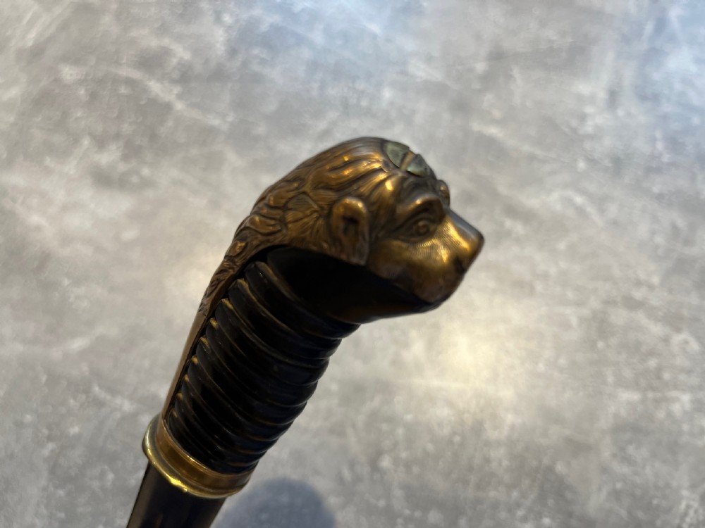 Oval Malacca Sword Cane with Brass Lions Head Handle View VI
