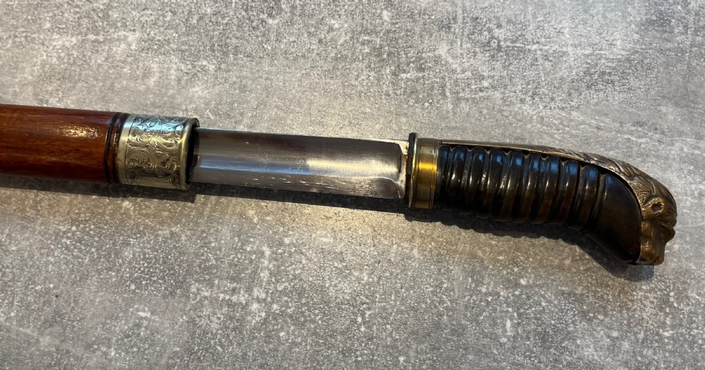 Oval Malacca Sword Cane with Brass Lions Head Handle View VII