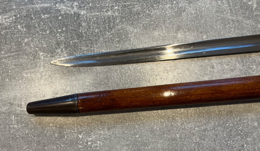 Oval Malacca Sword Cane with Brass Lions Head Handle View VIII