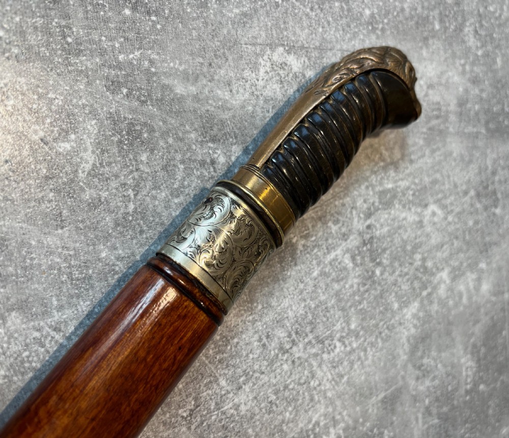 Oval Malacca Sword Cane with Brass Lions Head Handle View IX