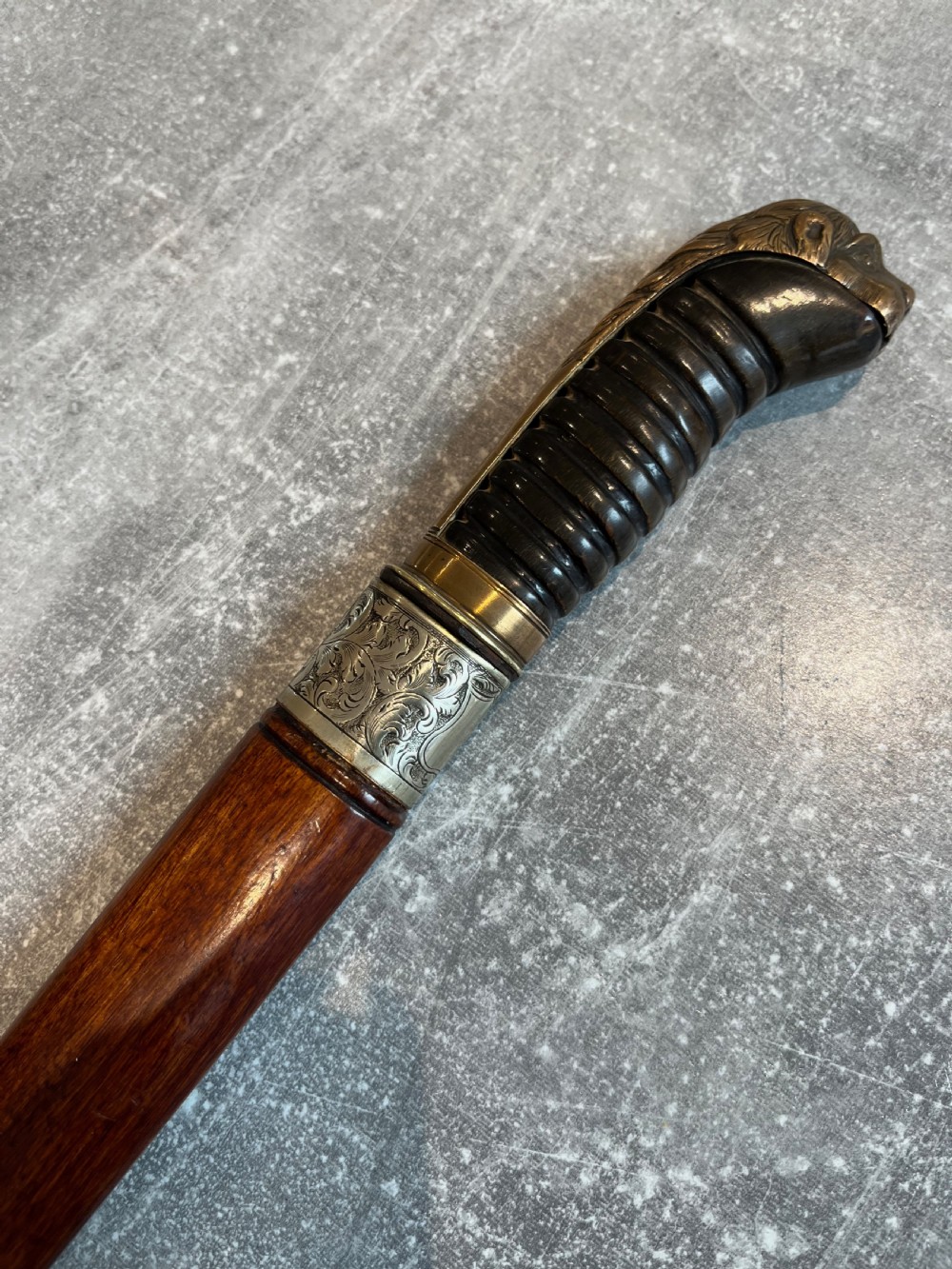 Oval Malacca Sword Cane with Brass Lions Head Handle View XIV