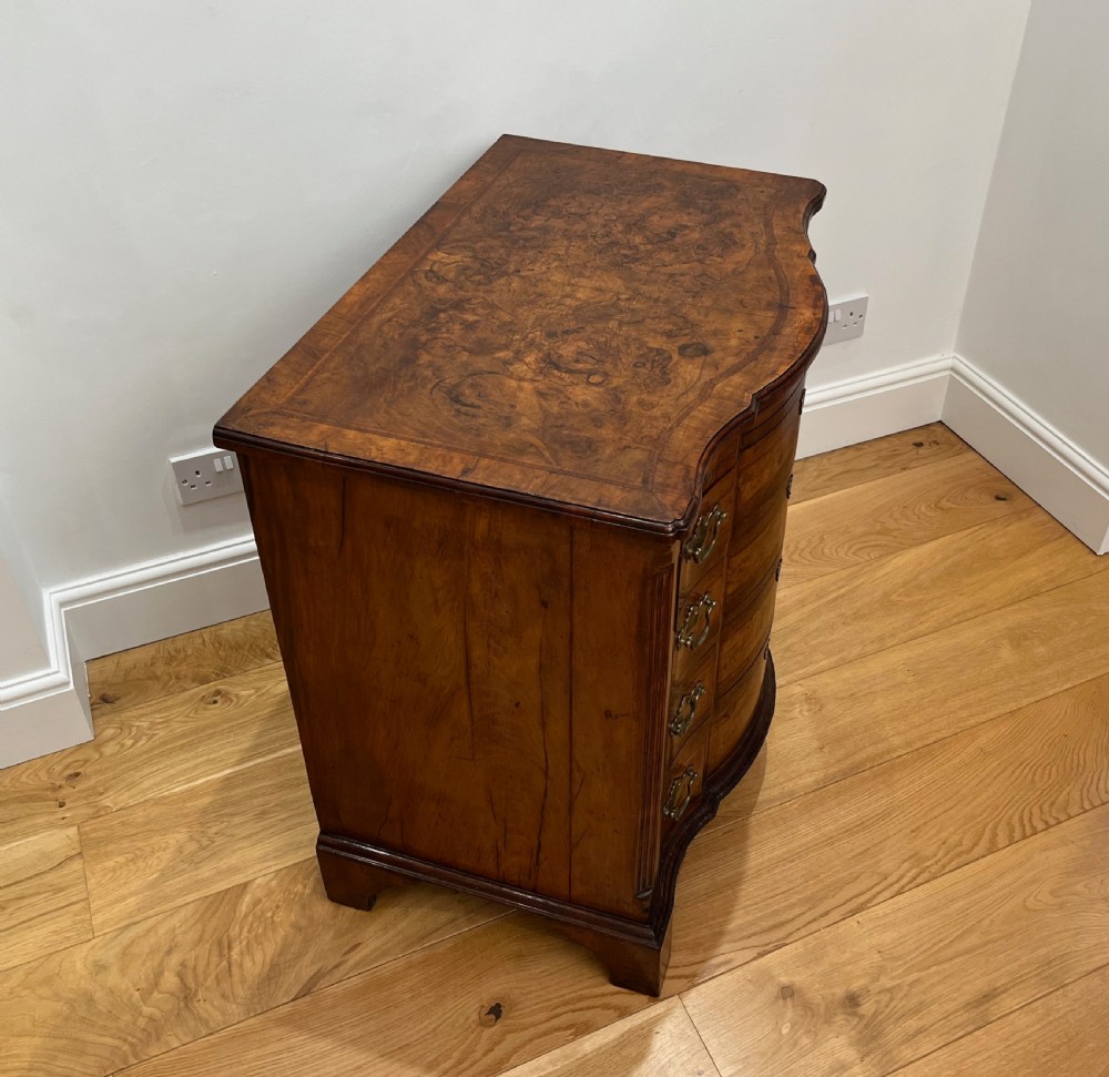 Burr Walnut Serpentine Bachelors Chest View IV