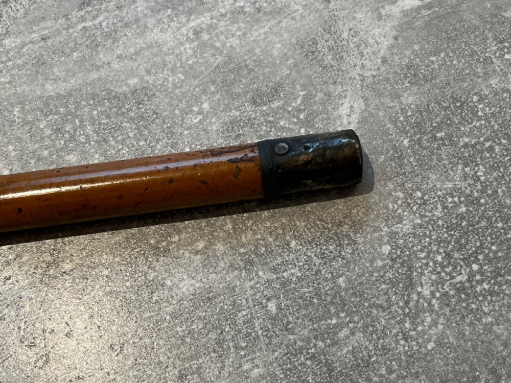 Gilded Top Walking Stick Cane View VIII