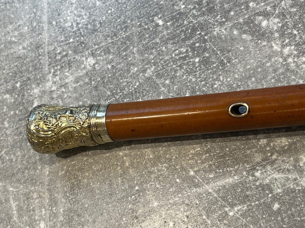 Gilded Top Walking Stick Cane View IX