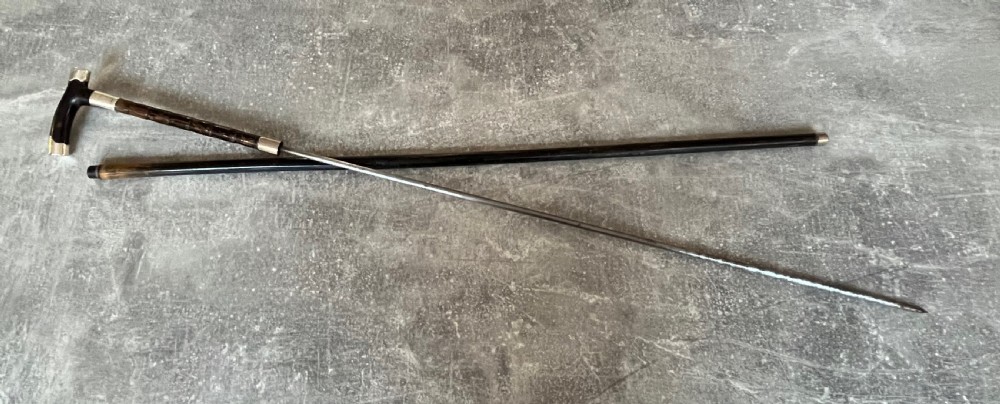 Silver Mounted Sword Stick with Tortoiseshell Handle View VII