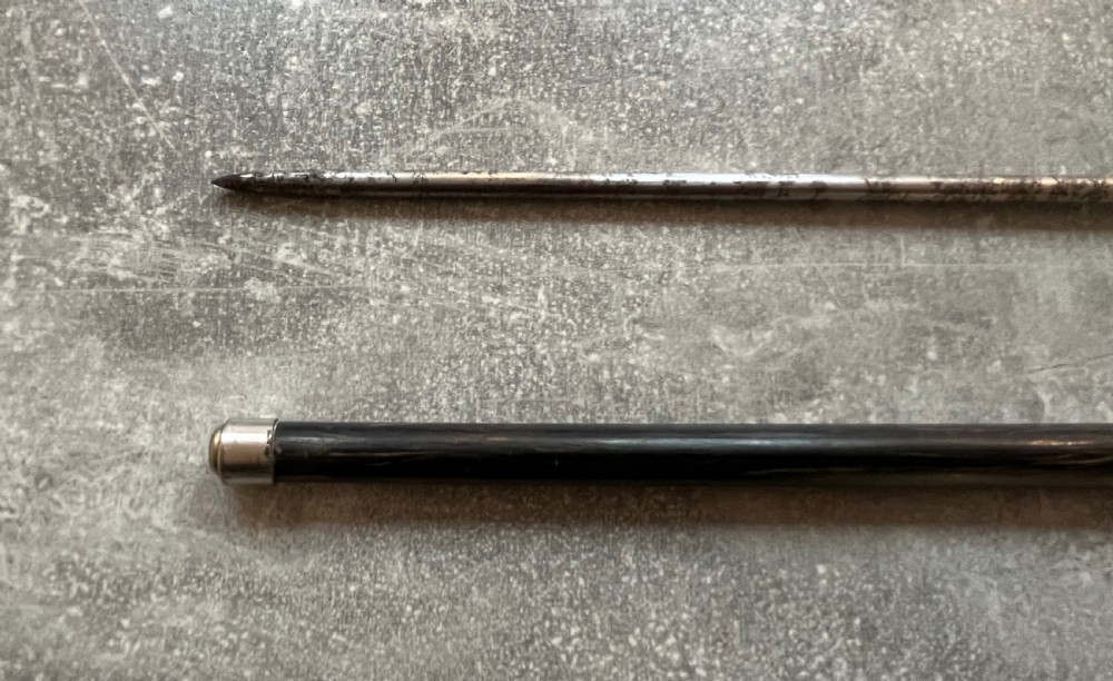 Silver Mounted Sword Stick with Tortoiseshell Handle View VIII