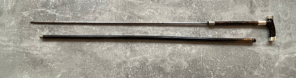 Silver Mounted Sword Stick with Tortoiseshell Handle View XIV