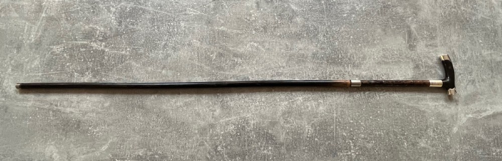 Silver Mounted Sword Stick with Tortoiseshell Handle View XV