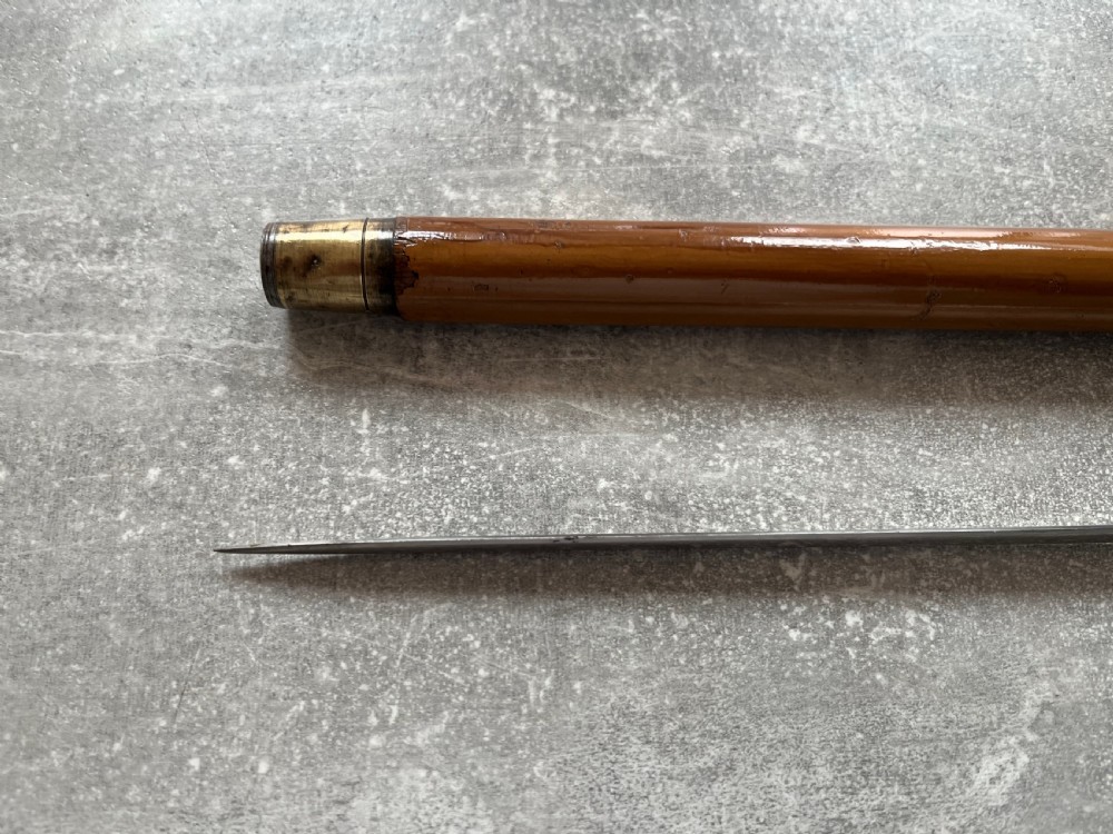 Edwardian Crook Handled Sword Stick View VI