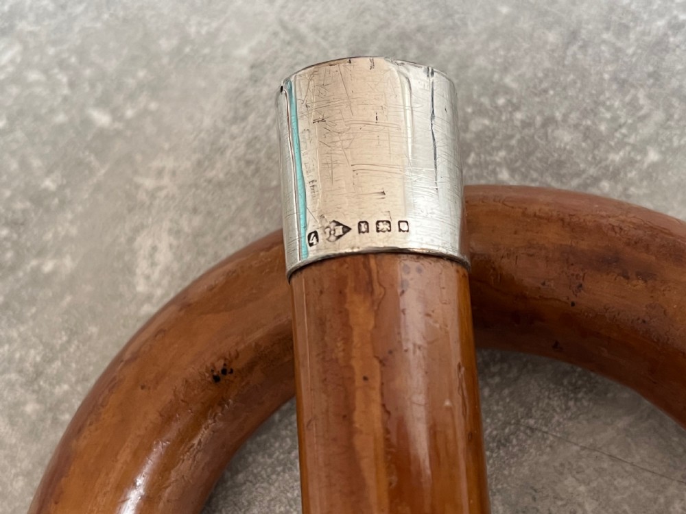 Edwardian Crook Handled Sword Stick View XII