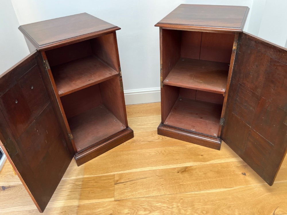 Pair of Mahogany Pier or Bedside Cabinets View II