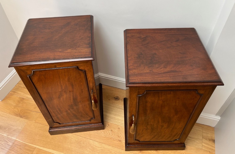 Pair of Mahogany Pier or Bedside Cabinets View VII