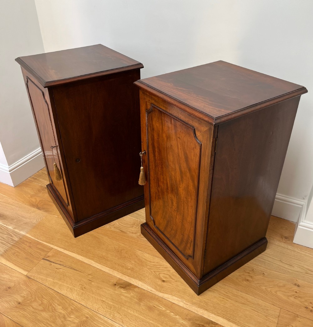 Pair of Mahogany Pier or Bedside Cabinets View XI