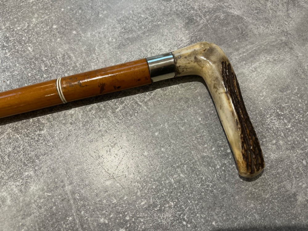 Antler Handled Malacca Sword Stick View IV