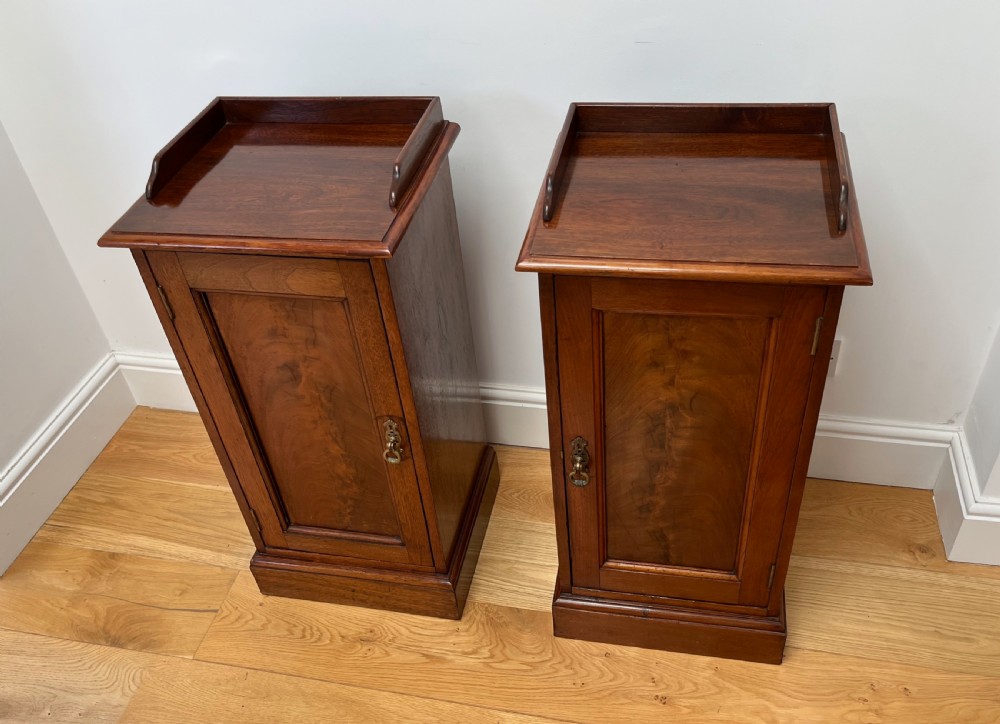 A pair of antique mahogany bedside cabinets featuring gallery tops, single panelled doors, brass drop handles, and solid plinth bases. View II