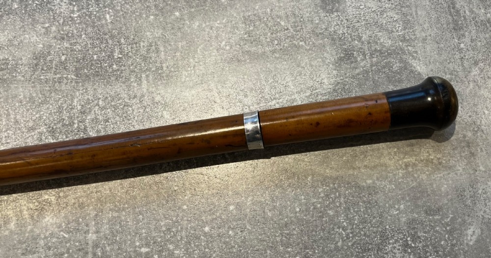 Rare French Malacca Sword Stick with sprung Quillons and a Toledo Blade View III