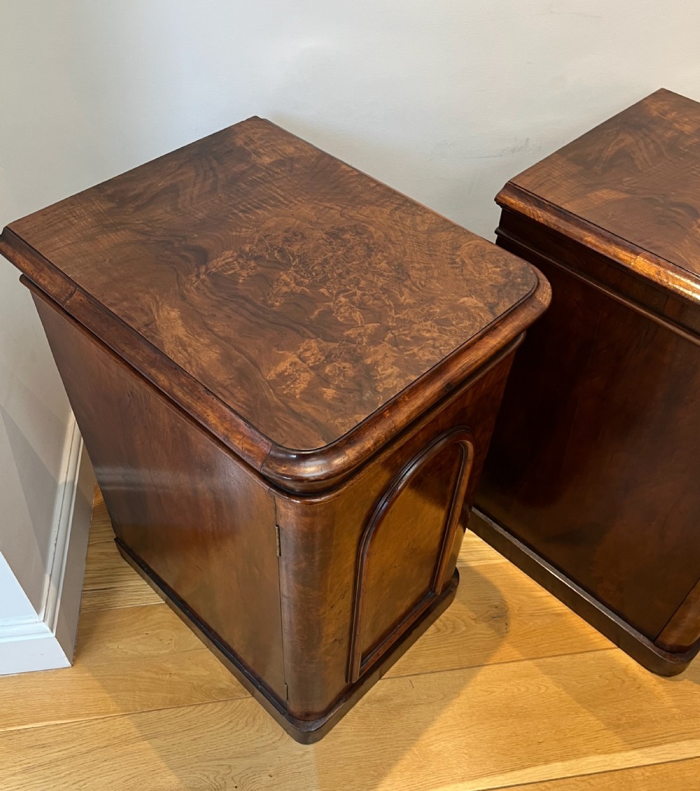 A matching pair of antique burr walnut bedside cabinets featuring single door cupboards with recessed arched panels and plinth bases. View XI