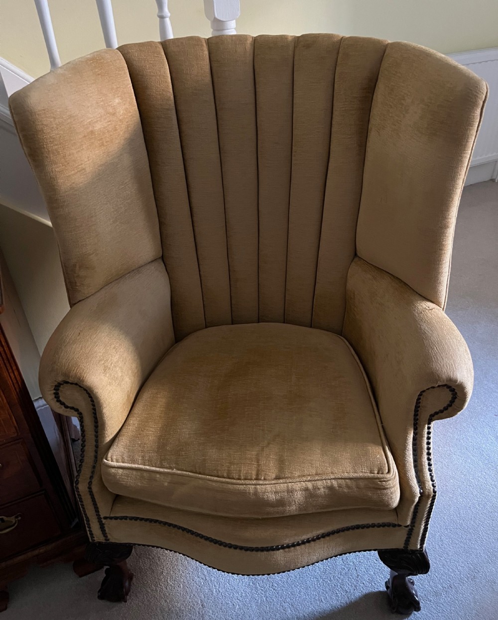 An Edwardian barrel back armchair upholstered in gold velvet with vertical fluted stitching, metal stud detailing, and carved dark wood legs.