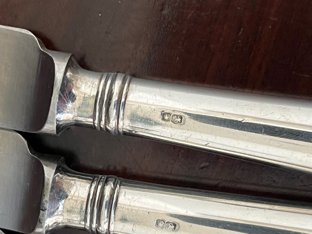 24 Silver Handled Knives View IV