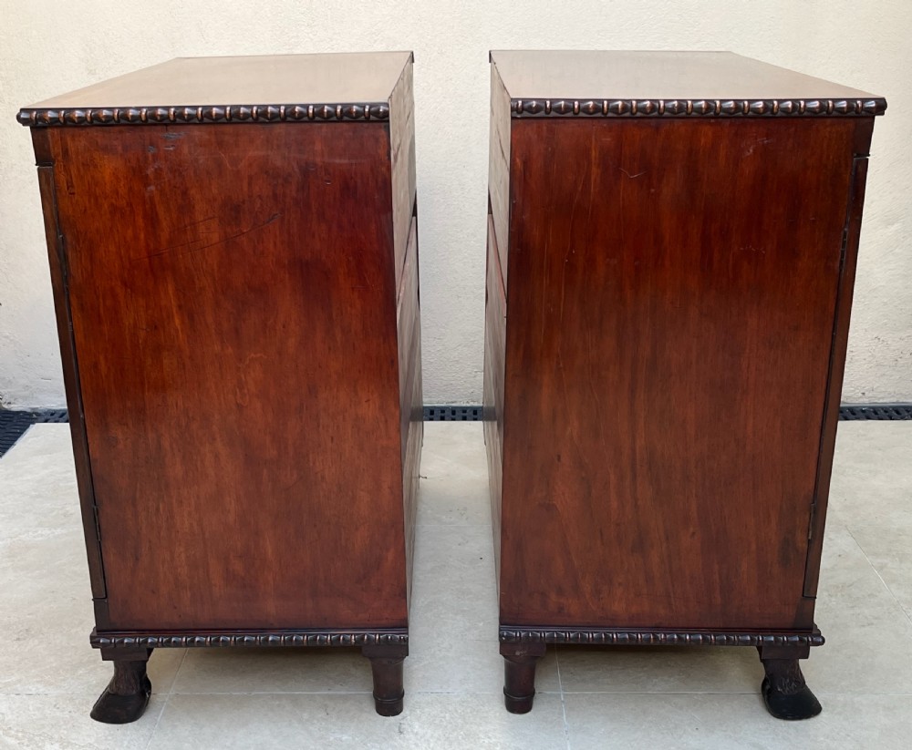 A pair of antique Regency mahogany side cabinets featuring brass lattice glazed doors and carved cloven hoof feet. View XII
