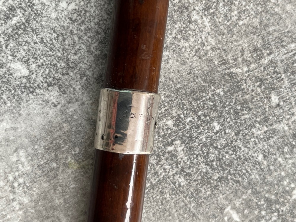 A dark brown polished hardwood walking stick featuring a curved crook handle with silver mounts and a metal ferrule at the tip. View III