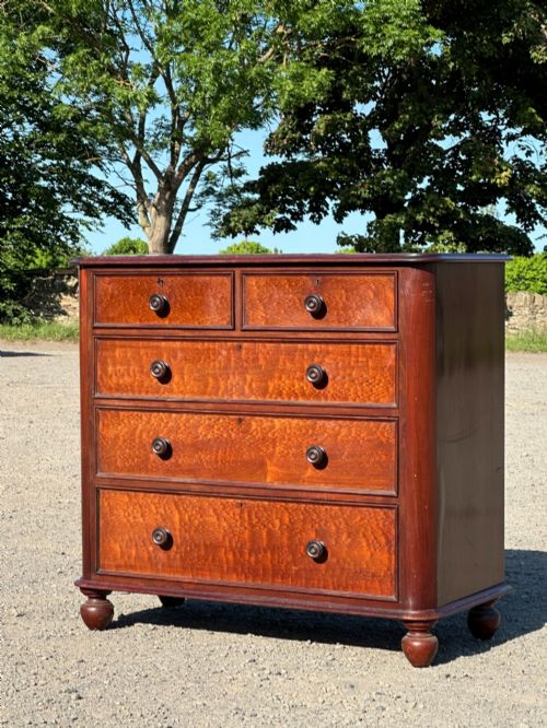 a 19th century plum pudding mahogany chest of drawers in the manner of gillows c1835 - CATEGORY: ANTIQUE CHEST OF DRAWERS - DATED 19TH CENTURY