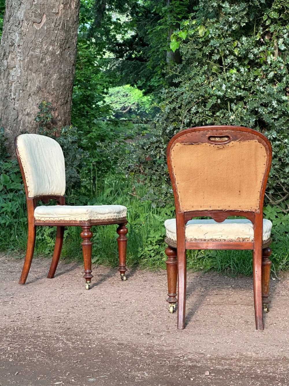 A pair of Scottish mahogany-framed library side chairs by R. (Richard) Whytock & Co. of Edinburgh