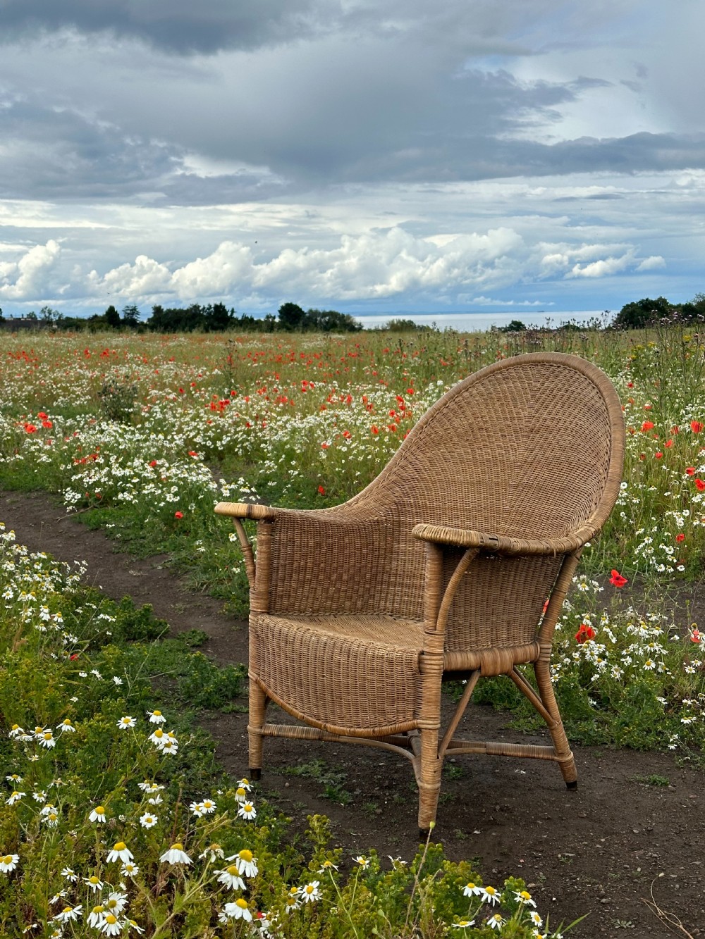 An early Dryad armchair, designed by Benjamin Fletcher, Leicester c.1910 View VIII