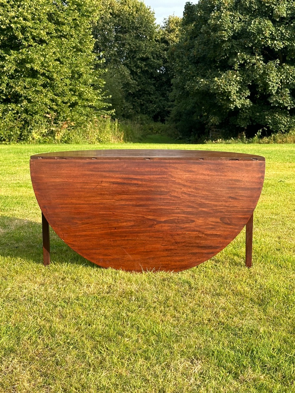 A late 18th-century George III mahogany hunt table featuring two large semi-circular drop leaves and tapered square legs. View VI