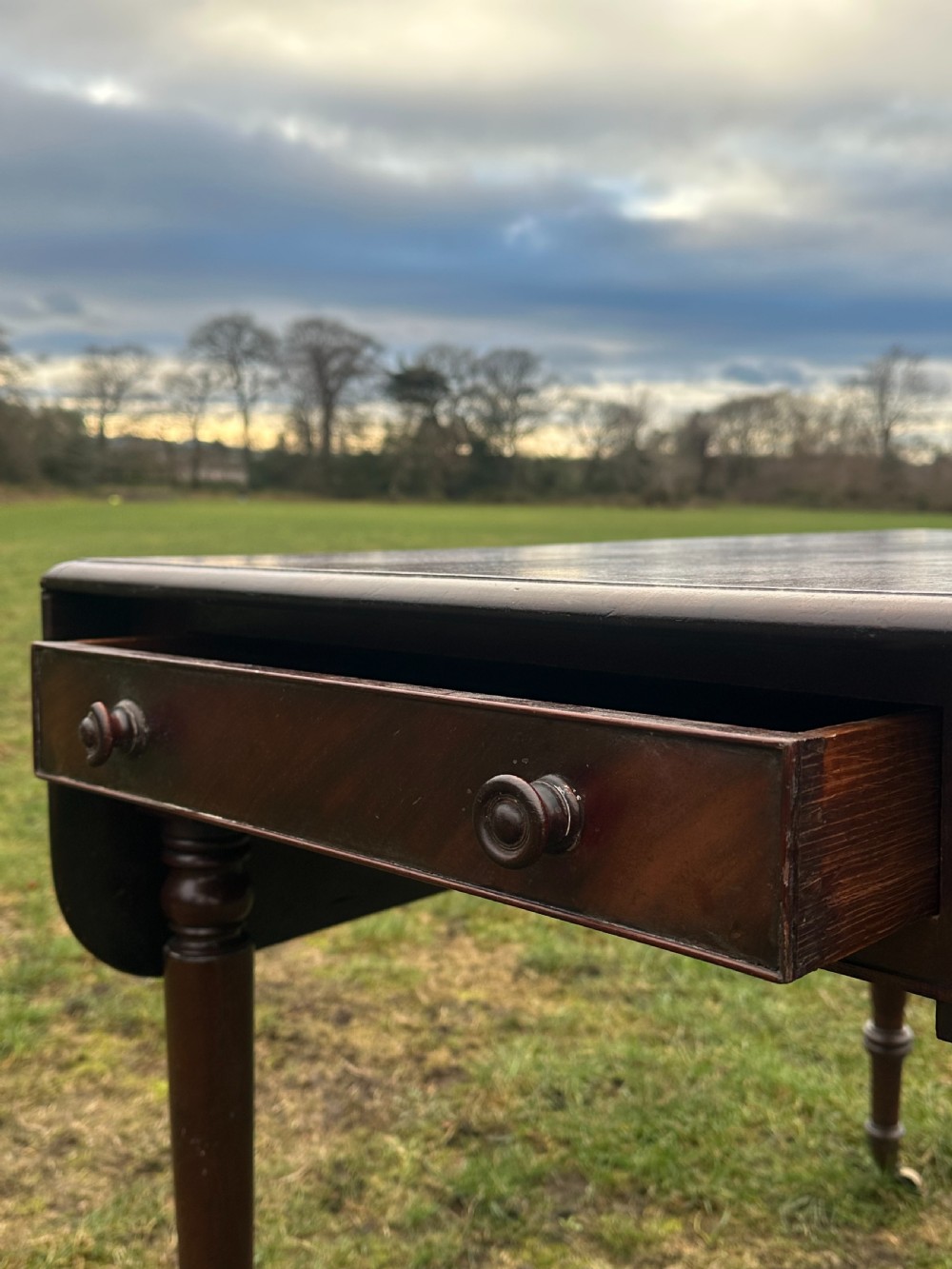 A Scottish Regency dark mahogany dining table featuring turned legs ending in brass castors and an integrated end drawer. View VIII