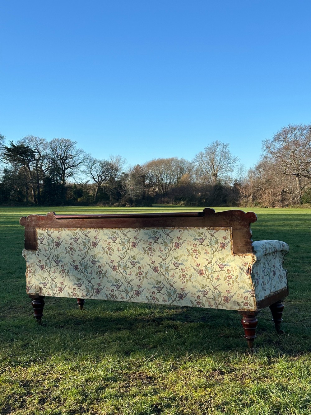 A Scottish 'Roman Vase' carved mahogany sofa, Edinburgh c.1830 View IV