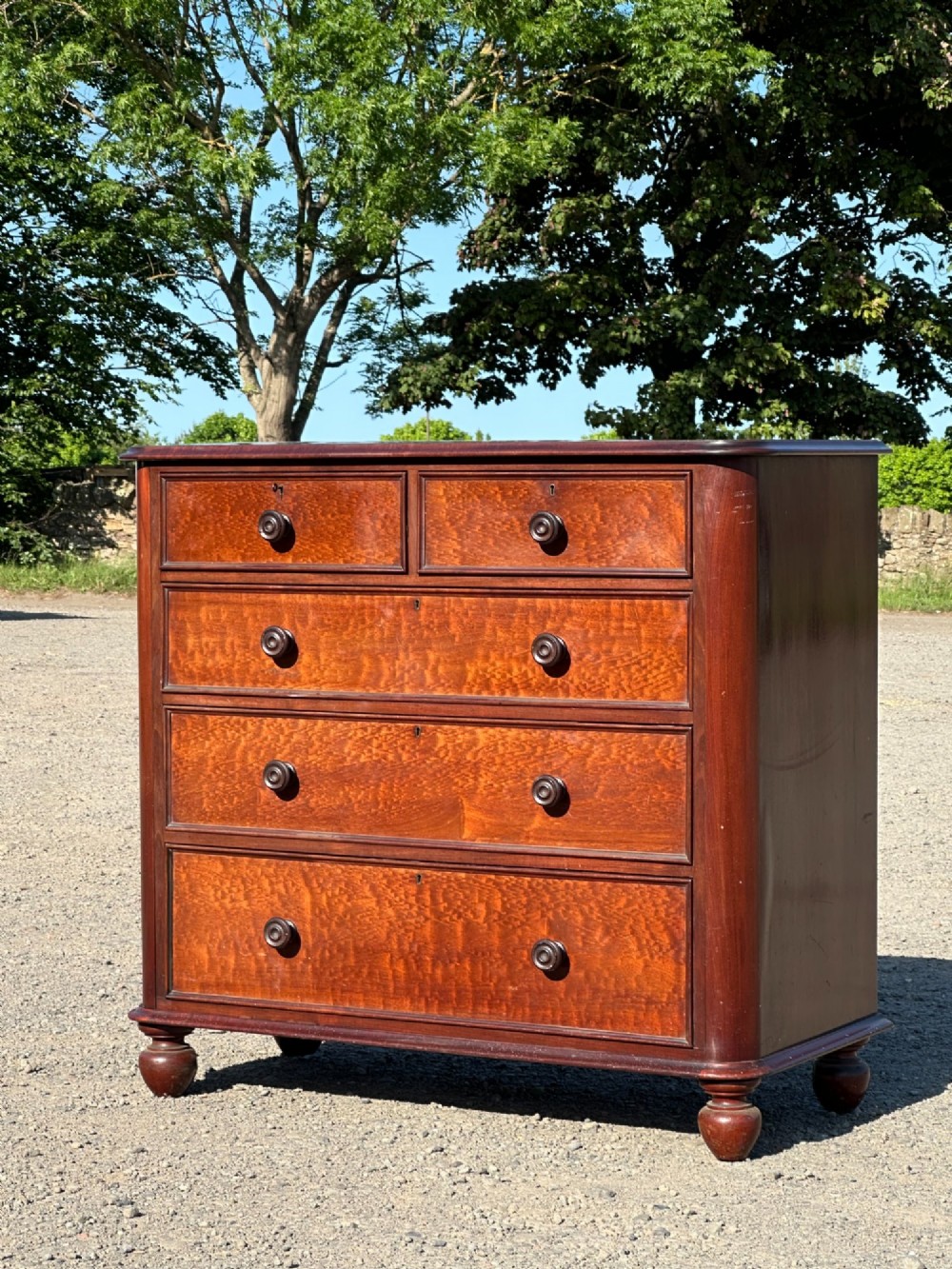 A 19th Century Plum Pudding Mahogany Chest Of Drawers In The Manner Of Gillows, C.1835
