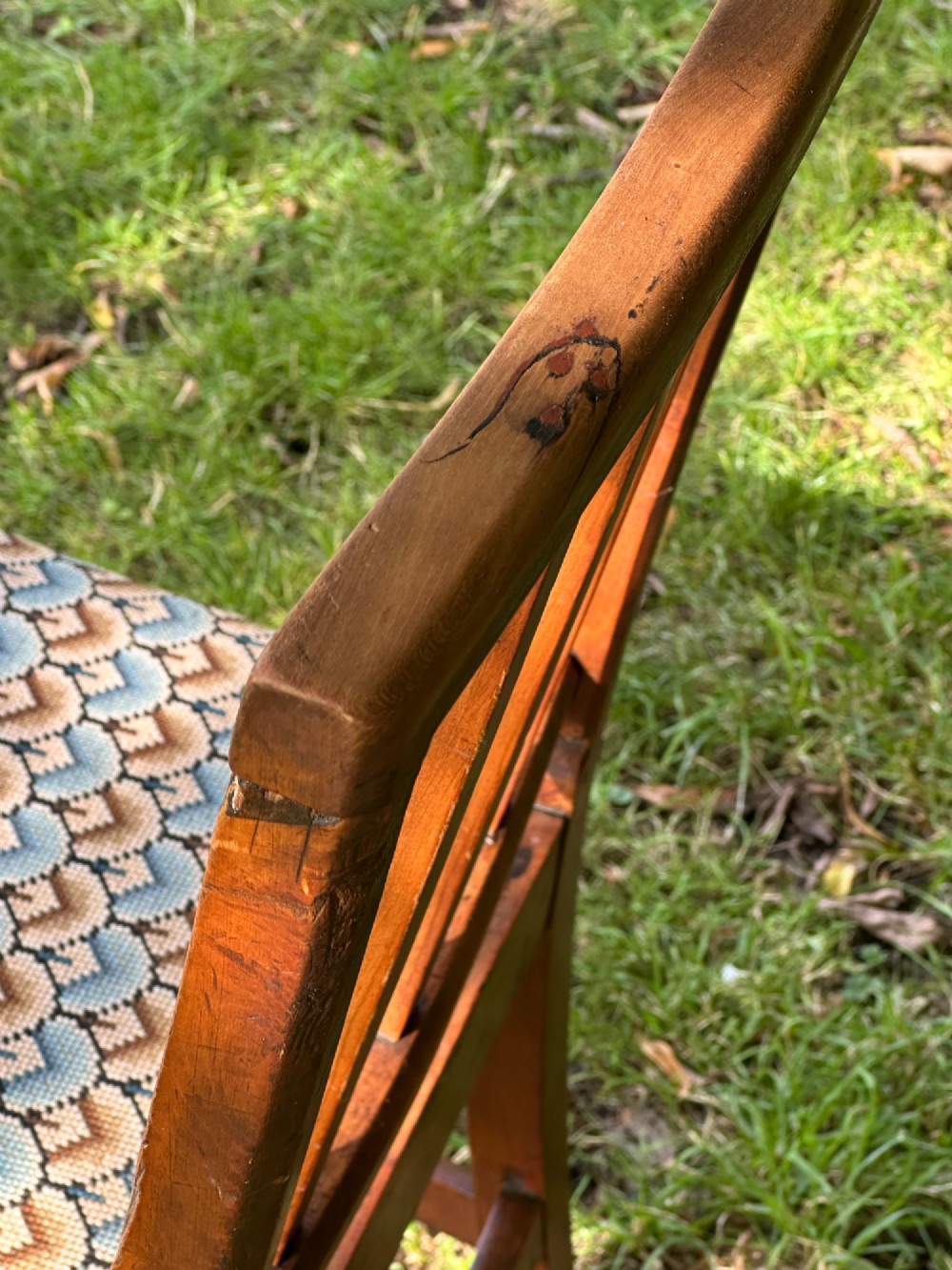 Alternate View
