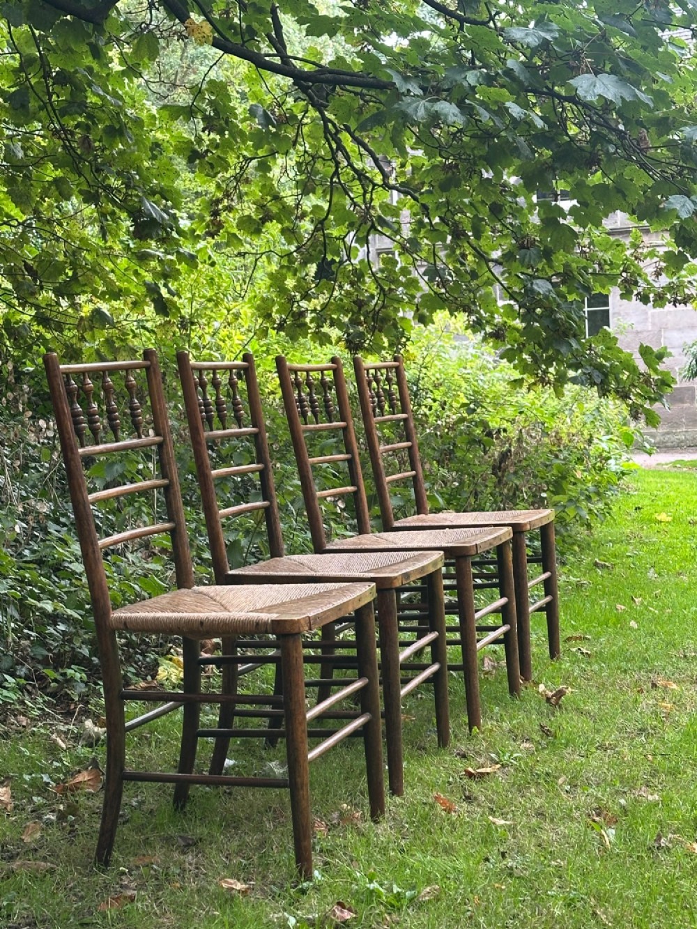 A set of four nineteenth-century beech Sussex chairs featuring turned spindle backrests and woven rush seats lined up outdoors. View IV