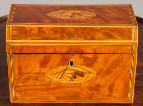 Sheraton Period Tea Caddy