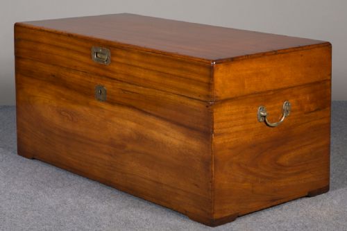 Camphor Wood Trunk/coffee Table