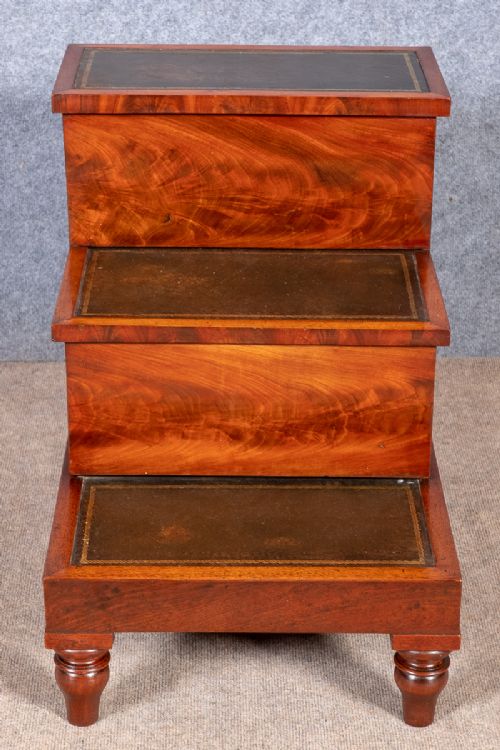 William IV Library Steps