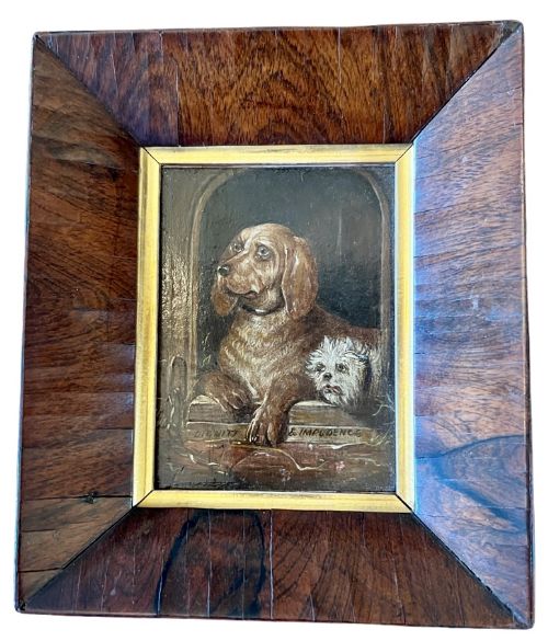 Charming Portrait of Dogs. Impudence & Dignity